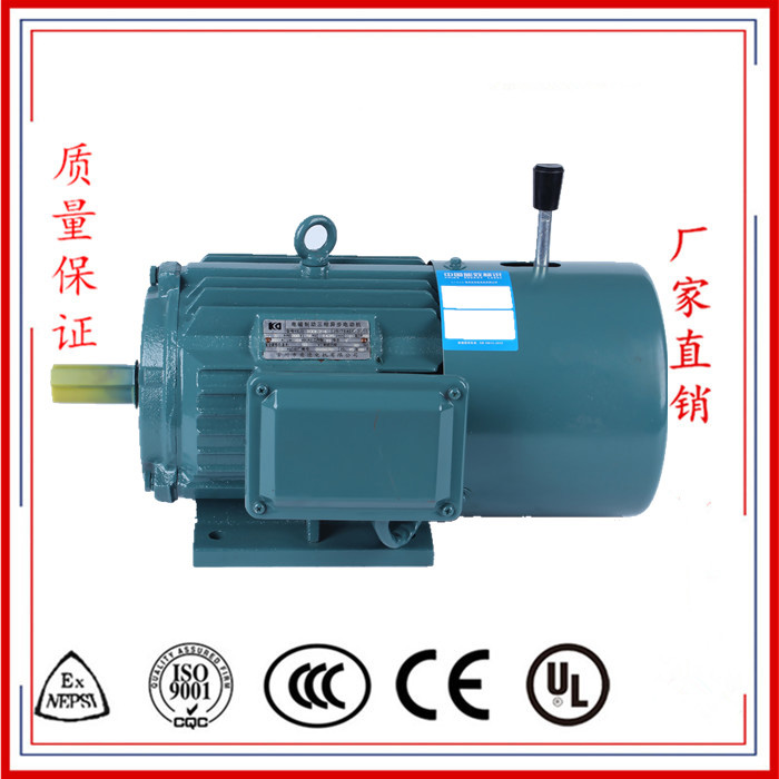 YE2J系列電磁制動三相異步電動機